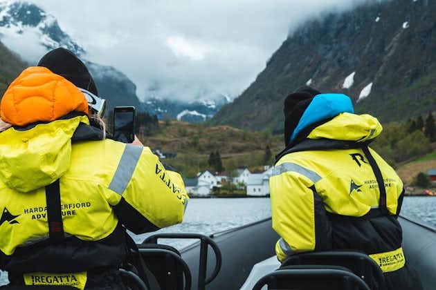 Excursão RIB privada exclusiva ao Hardangerfjord saindo de Rosendal