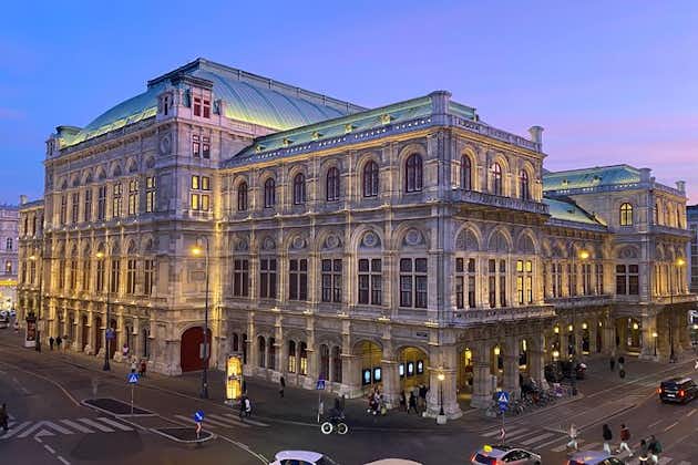 Excursão privada de música em Viena