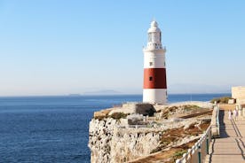 Go Tours Premium Gibraltar Experience med profesjonell guide