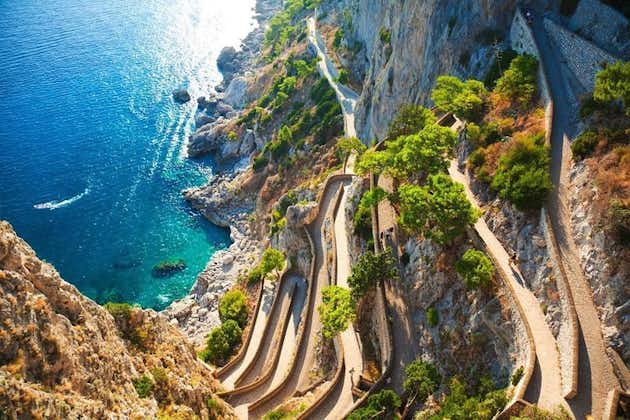 SEMI - PRIVÉ: excursion en bateau à Capri avec transfert en train à grande vitesse depuis Rome