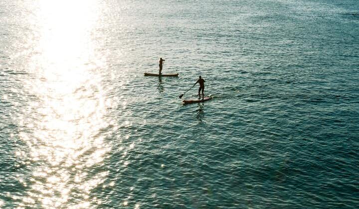 Paddleboard Mini Lesson from Newquay 