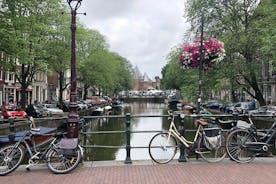Holland Dutch Golden Age Private Tour (Choice of your Own Itineraries)