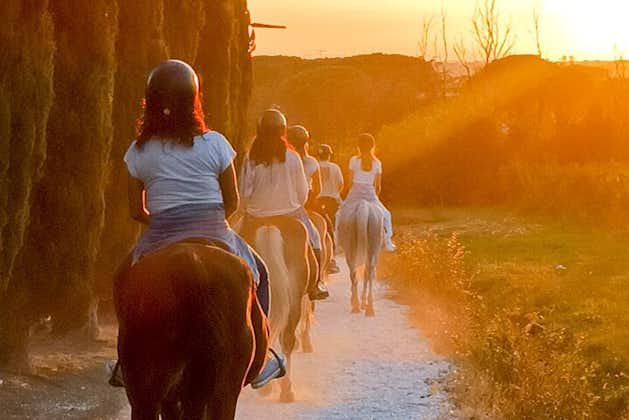在比萨切尔托萨骑马欣赏日落