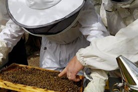 A Private Adventure to Discover Honey on the Roof in Cannes.