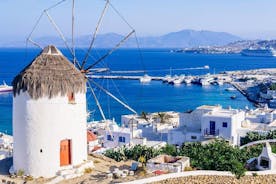 Mykonos Town and Island Half-Day Tour