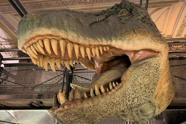 맘마미아! 어린이를 위한 런던 자연사 박물관 투어에서 공룡 발견하기