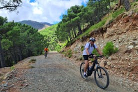 Excursão privada de mountain bike elétrica saindo de Estepona