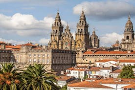 Excursion sur le rivage de Vigo: excursion d'une journée en petit groupe à Santiago de Compostela
