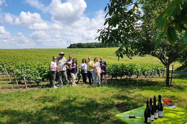 Demi journée excursion œnologique depuis la Ville de Tours : 2 vignobles à Vouvray 