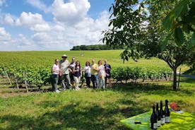 Excursão vinícola de meio dia no Vale do Loire saindo de Tours: Degustação de vinhos Vouvray