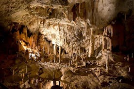 Privat Postojna Cave & Predjama Castle Tour fra den slovenske kyst