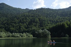 国家公园Biogradska Gora之旅