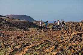 Selbstgeführte E-Bike-Tour zum Strand und den Vulkanen von Las Palomitas