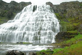 Découvrez les fjords de l'ouest et la cascade de Dynjandi depuis la visite en petit groupe d'Isafjordur