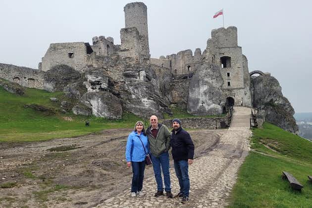 Polska slott privat rundtur från Krakow