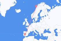 ノルウェーのから ボードー、スペインのへ セビリアフライト