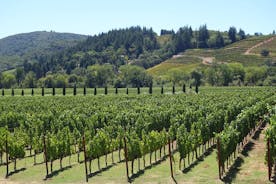 Napa Valley vínsmökkunarferðir frá San Francisco 4 til 14 Pax