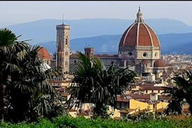 私人旅游：佛罗伦萨和基安蒂一日游，午餐和酒厂品尝