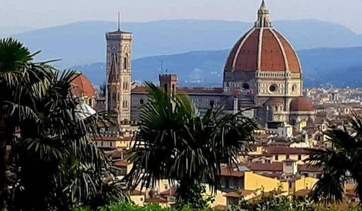 PRIVAT TUR: Firenze og Chianti på én dag med frokost og smagning i vingården