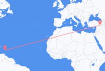 Flights from Saint Lucia to Diyarbakir