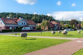 Private Tour: Curonian Spit and Highlights of Klaipeda