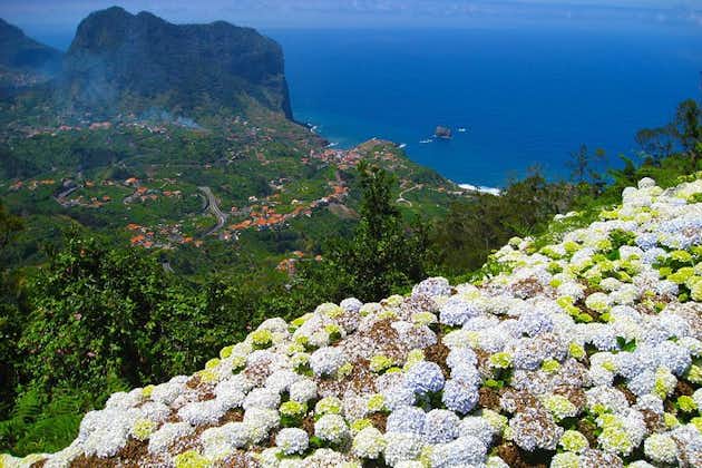 Balade levada de Referta Castelejo au départ de Funchal
