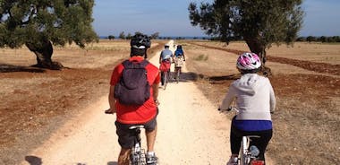 Passeio de bicicleta em Puglia: Andar de bicicleta pela história do azeite extra-virgem