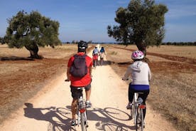 Passeio de bicicleta em Puglia: Andar de bicicleta pela história do azeite extra-virgem