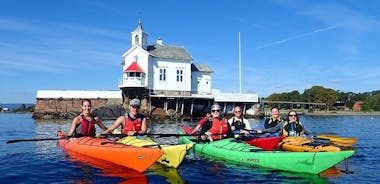 3- Hour Kayak Tour on the Oslofjord