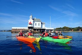 Tour in kayak di 3 ore sull'Oslofjord