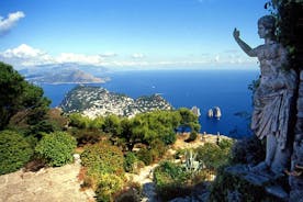 Semi-begeleide tour van Capri