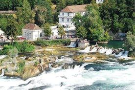 Zürich: Private Car Tour to Rhine Falls, Titisee and Black Forest
