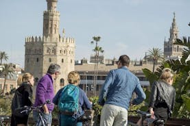 Tour de 2,5 horas en bicicleta por la ciudad de Sevilla