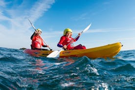纽基海上皮划艇课程和旅游