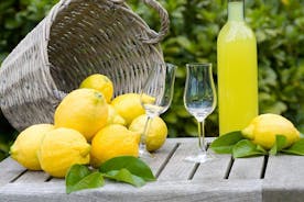 Olie- og citronvandring - Essensen af Sorrento