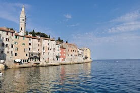 Full-Day Tour Istria From Pula