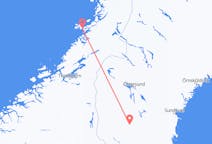 Fly fra Sveg til Rørvik