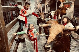 Pamplona privétour met 3-gangenmaaltijd en foto's met stieren