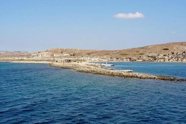 Crociera sull'antica Delos e sull'isola di Rhenia da Tourlos
