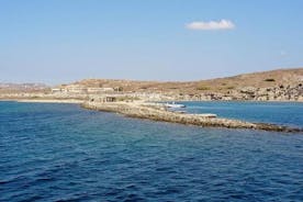 Forn Delos og Rhenia Island Cruise frá Tourlos