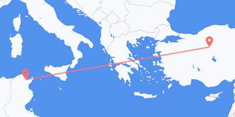 チュニジアからトルコへのフライト