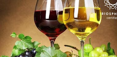 Madeira Wines Tasting + Vineyards & Skywalk in 4x4 Full Day Tour