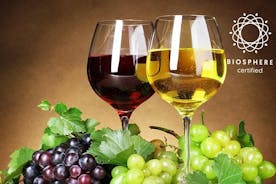 Madeiras vinsmagning + vingårde og skywalk i 4x4 heldagstur