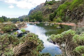 Excursión al Cráter de Bandama y Jardín Botánico de Las Palmas