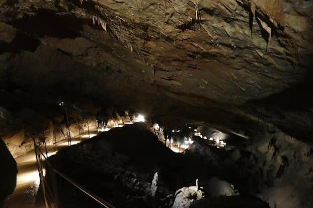 Excursion d'une journée à la grotte de Skocjan au départ de Ljubljana