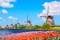 photo of colorful spring landscape of Nederwaard Molen No5 in Kinderdijk, Netherlands.