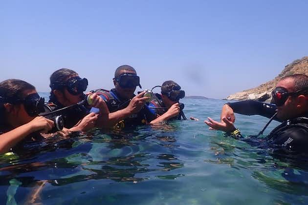 アンドロス島でスキューバダイビング体験を楽しもう！