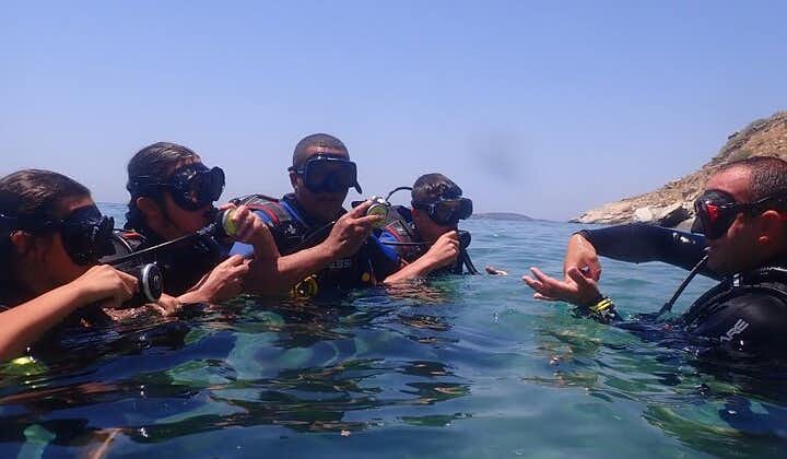 Discover Scuba Diving Experience in Andros Island!
