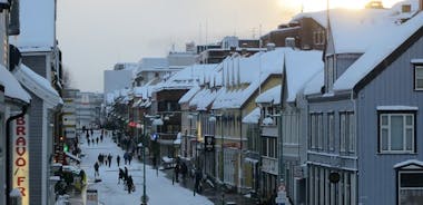 Historischer Spaziergang durch Tromsø