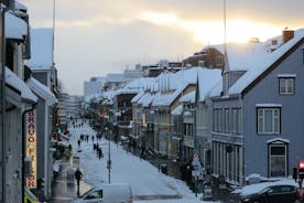 Essentiële historische stadswandeling door Tromso